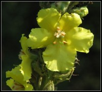 /album/fotogaleria/foto01-1-jpg/